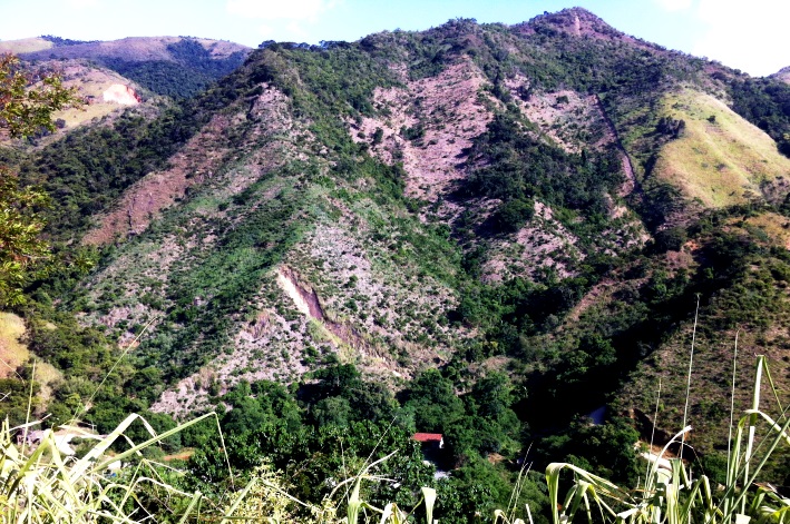 Além do plantio total, também são aplicadas técnicas de enriquecimento florestal e condução da regeneração natural.