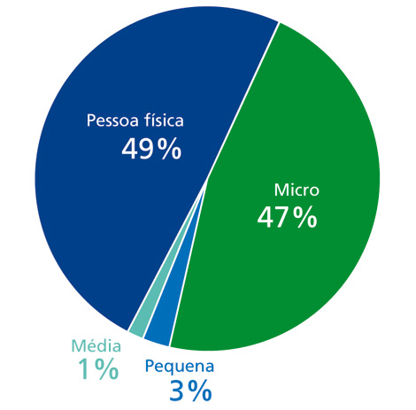 Gráfico apresenta Carteira por porte da empresa, em número de operações. Micro: 47%. Pequena: 3%. Média: 1%. Pessoa física: 49%.