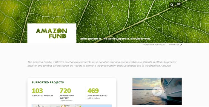 Site do Fundo Amazônia